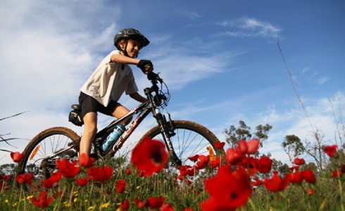 טיולי אופניים מאורגנים