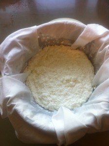 הכנת גבינה שלב שני