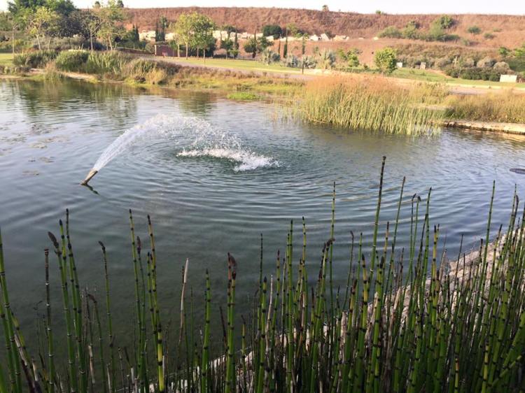 אגם בפארק אריאל שרון
